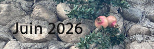 juin-2026